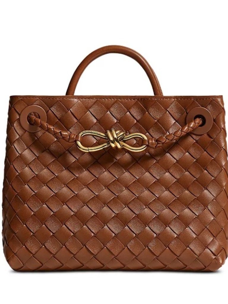 New Bottega Veneta Brown Small Andiamo Bag